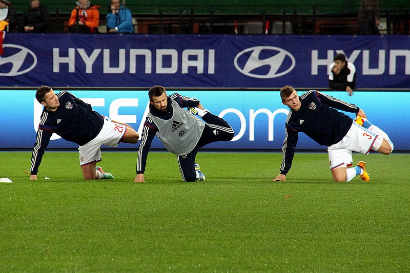 File:Austria vs. Russia 20141115 (189).jpg