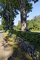 Granitmauer mit Hecke