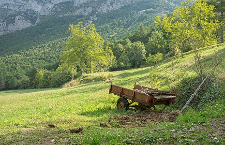 Landscape, field and trailer with some wood near Badaín. Sobrarbe, Aragón, Spain