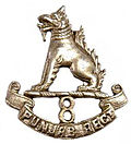 Thumbnail for 8th Punjab Regiment
