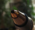 A closeup on the top of a ballpoint pen. Used in Macro photography and Depth of field