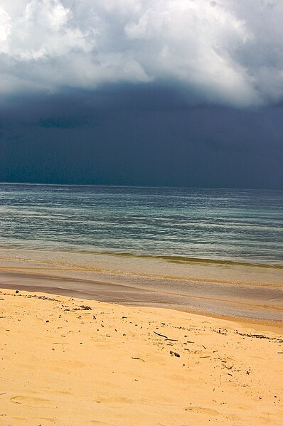 File:Bamboo Island.jpg