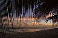 Barbados sunset (4741686070).jpg