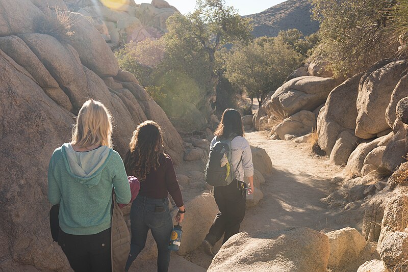 File:Barker Dam Hike (49116787806).jpg