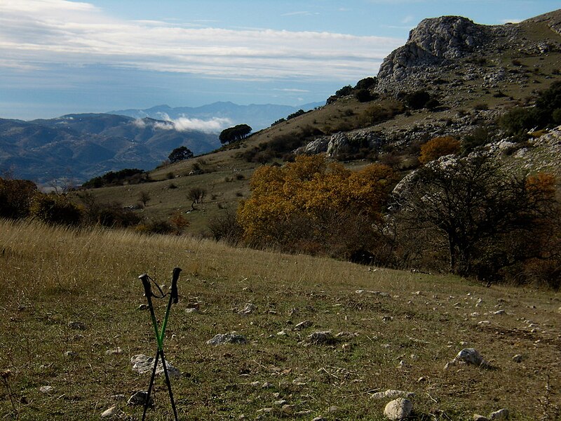 File:Barranco del Guadalmedina (4351770677).jpg