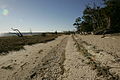 Fronte spiaggia.JPG