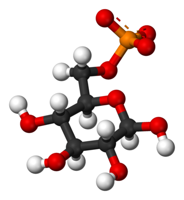 Glucosa-6-fosfato