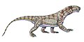 Biarmosuchus.jpg
