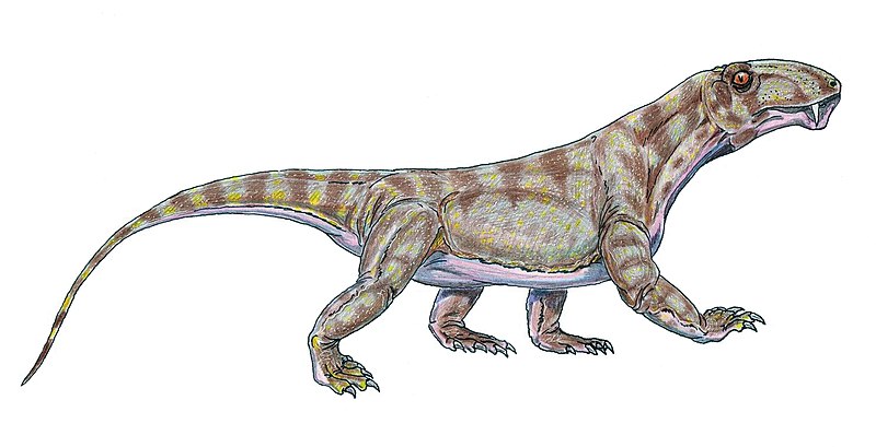 prehistoric komodo dragon