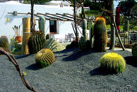 View of the gardens. Bild cave mit grossen kakteen.jpg