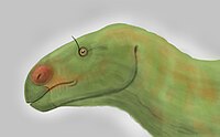 List Of Asian Dinosaurs