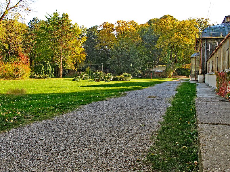 File:Botanička bašta Jevremovac, Beograd - jesenje boje, svetlost i senke 31.jpg