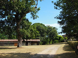 Entrée de l'airial (prairie de l'assemblade) et chevet de l'église