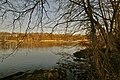 L'estany Bredenbeker Teich a Ahrensburg