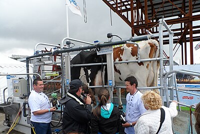 Brest 2012 - Terres et mers19.JPG