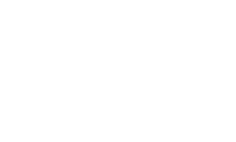 File:Bridge LOGO - Blanco.png