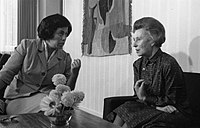 Elisabeth Schwarzhaupt: Niemiecka polityk