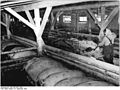 Bundesarchiv Bild 183-54071-0002, Berlin-Buchholz, Bauer beim Füttern.jpg