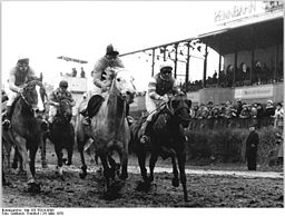 Bundesarchiv Bild 183-T0324-0008, Leipzig, Galopprennen, Reiterfeld