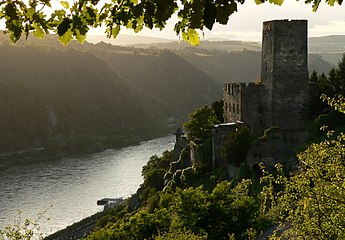 Вид замка и долины Рейна