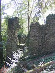 Burg Wiesneck