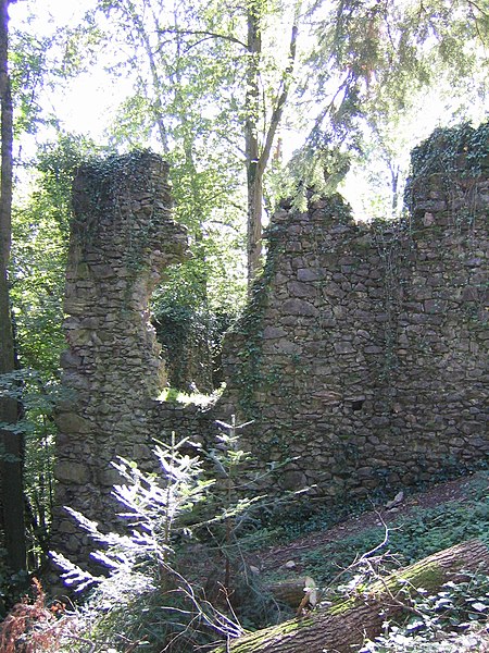 Burg Wiesneck 8429