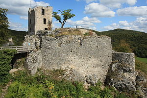 Burgruine Neideck - Ansicht der Hauptburg mit dem Halsgraben im Vordergrund (September 2009)
