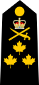 вице-адмирал канадских королевских ВМС в 1968-2010