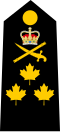 CDN-Navy-VAdm-Shoulder.svg