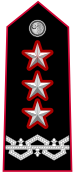 generale di corpo d'armata vice comandante generale