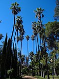 Miniatura para Parque de Castelar