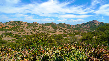 The Catalina Island interior is owned and maintained by the Catalina Island Conservancy.