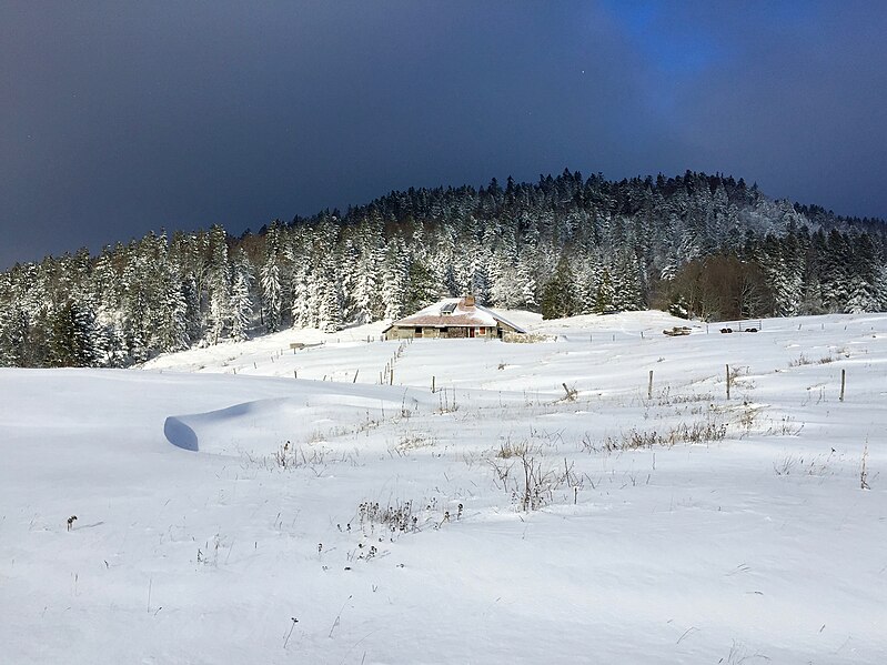 File:Chalet d'alpage "Le Crot".jpg