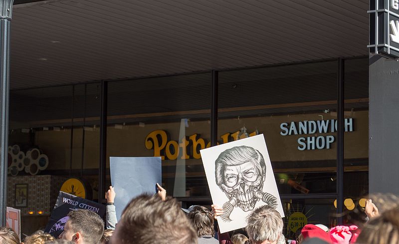 File:Chicago Women's March (32085134410).jpg