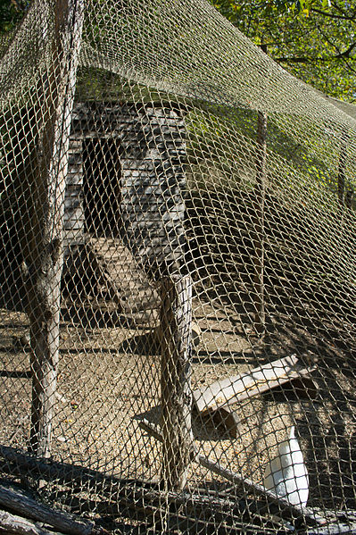 File:Chicken coop - slave cabin at pioneer farm - Mount Vernon.jpg