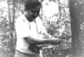 File:Chico Mendes at rubber tree.png