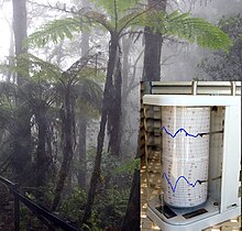 Monte della foresta pluviale kinabalu-withHygrom.jpg