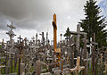 * Nomination Hill of Crosses, Lithuania --Poco a poco 19:33, 2 February 2015 (UTC) * Promotion Good quality. --Livioandronico2013 21:34, 2 February 2015 (UTC)