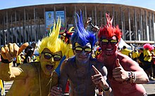 Colombia fan9.jpg