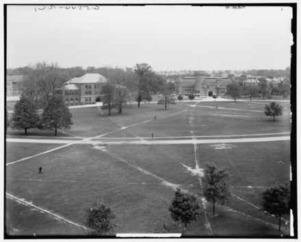 A view of The Oval green space in the early 20th century.
