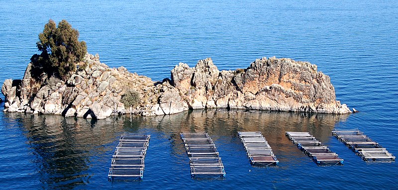 File:Criadero de peces en el Lago Titicaca cerca de Copacabana Bolivia.jpg