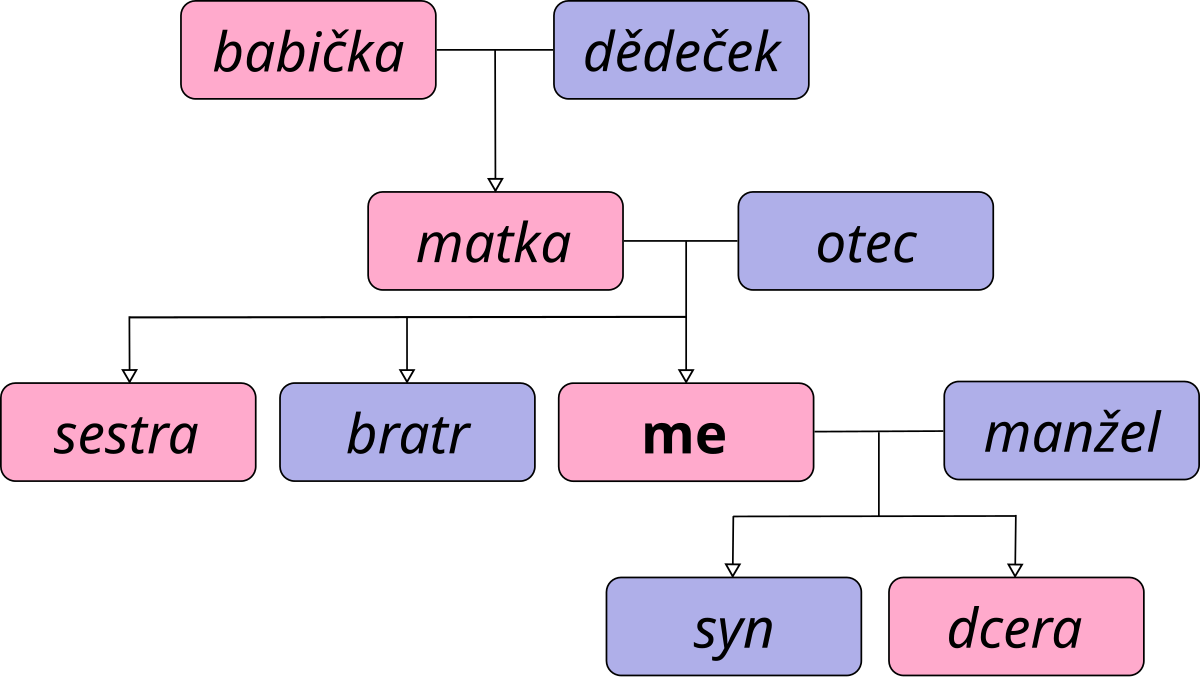 czechoslovakian language