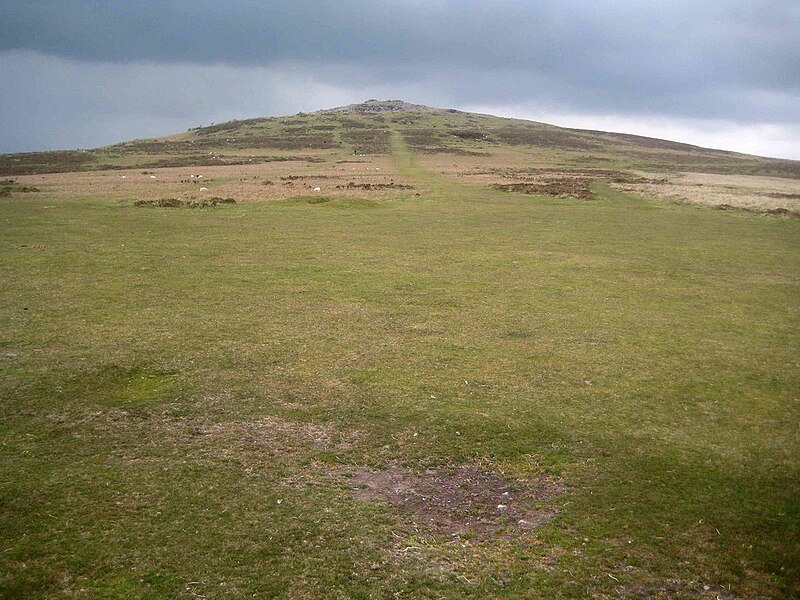 File:Dartmoor, Southern slopes of Cox Tor - geograph.org.uk - 6152103.jpg