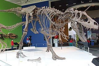 <i>Daspletosaurus</i> Genus of tyrannosaurid dinosaur from Late Cretaceous period