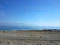 Dead Sea (5329695336).jpg