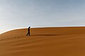 Desert walk (5130198174).jpg