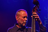 Saksan jazzfestivaali 2013 - Dave Holland Prism - Dave Holland - 06.JPG