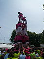 Diada castellera de les festes de primavera del 2014 a Sant Feliu de Llobregat. Hi actuaven els Castellers de Sant Feliu (camisa rosa), els Castellers de Viladecans (camisa verda) i els Castellers de Santa Coloma (camisa blau cel).Template:Location dec