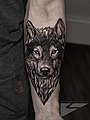 Dominic Carter Wolf Tattoo.jpg