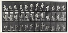 Muybridge Animal Locomotion. Plate 172. Model 12. Stepping up on a trestle; jumping down, turning Eadweard Muybridge Animal Locomotion Plate 172.jpg